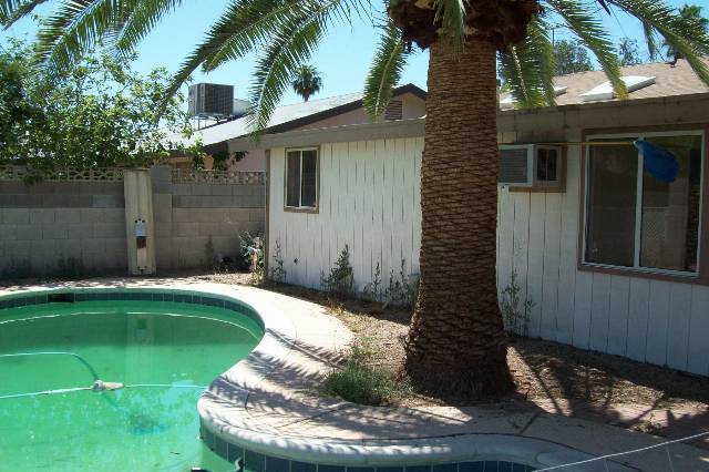 1146 E Campus Dr in Tempe, AZ - Foto de edificio - Building Photo