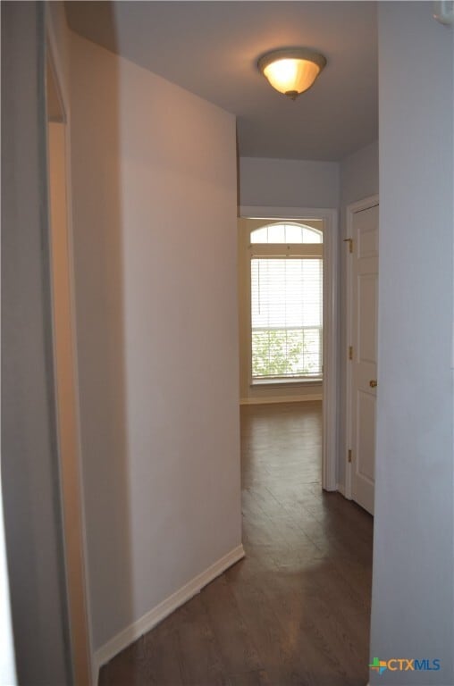 property at 2105 Indian Camp Trail