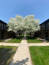 Mesa Adobe in Green Bay, WI - Foto de edificio - Building Photo