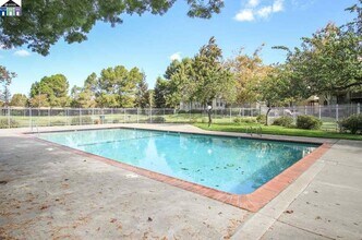 39455 Albany Common, Unit T in Fremont, CA - Building Photo - Building Photo