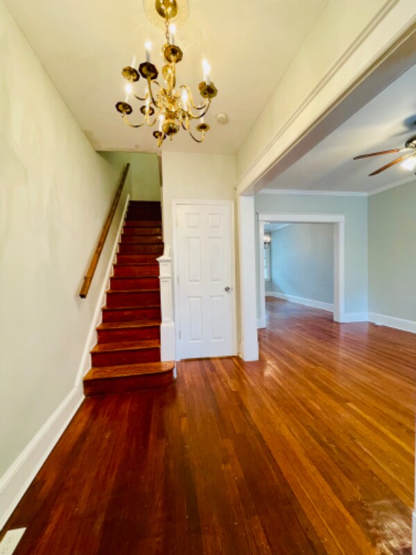 341 Bryant St NE in Washington, DC - Building Photo - Building Photo