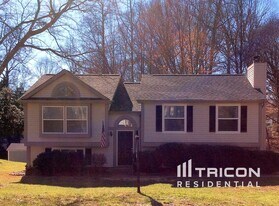 1010 Farmfield Ln in Charlotte, NC - Building Photo