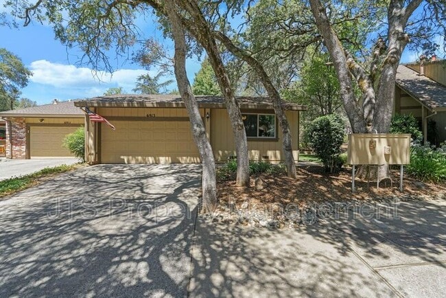 property at 6913 Navarro Ct