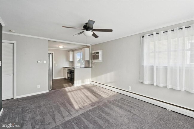 703 Hoffnagle St in Philadelphia, PA - Building Photo - Building Photo