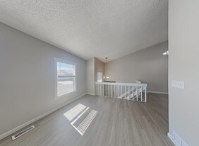 16633 Blue Mist Cir in Parker, CO - Building Photo