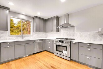 132 Pauls Ln in Bailey, CO - Building Photo - Building Photo