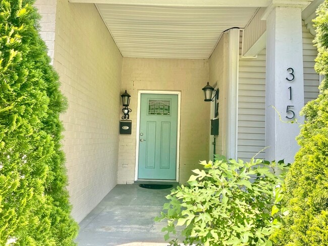 315 Grace St in Nashville, TN - Building Photo - Building Photo