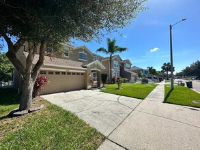 11335 Village Brook Dr in Riverview, FL - Foto de edificio - Building Photo