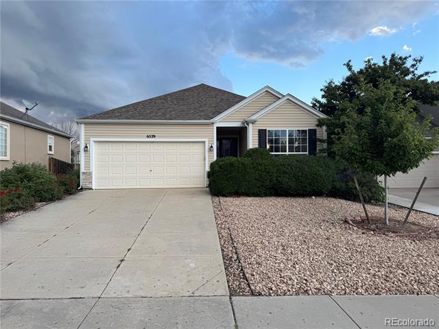 6529 Fowler Dr in Colorado Springs, CO - Building Photo - Building Photo