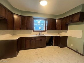 275 Cornell Ave in Amherst, OH - Foto de edificio - Building Photo