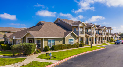 COTTON CROSSING in New Braunfels, TX - Building Photo - Building Photo