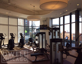 1005 S State St, Unit 2 in Chicago, IL - Building Photo - Building Photo