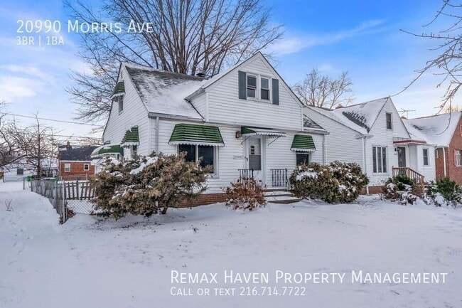 20990 Morris Ave in Euclid, OH - Building Photo - Building Photo