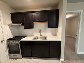 684 Ferrule Dr, Unit Brand New In Law Suite For Rent in Kyle, TX - Building Photo - Building Photo