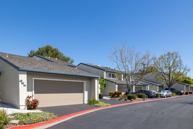 Shell Cove in Foster City, CA - Building Photo - Building Photo