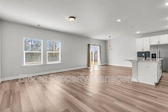 247 Lucca Dr in Summerville, SC - Building Photo - Building Photo