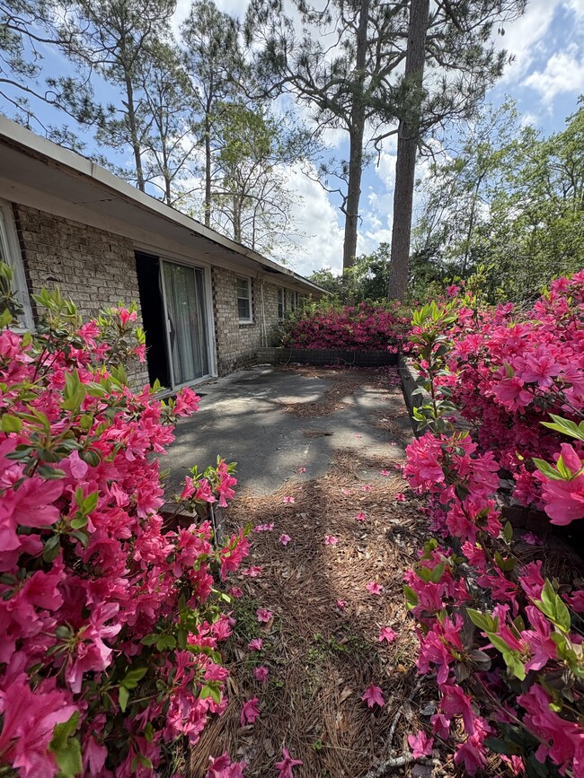 603 Waters Dr in Vidalia, GA - Building Photo - Building Photo