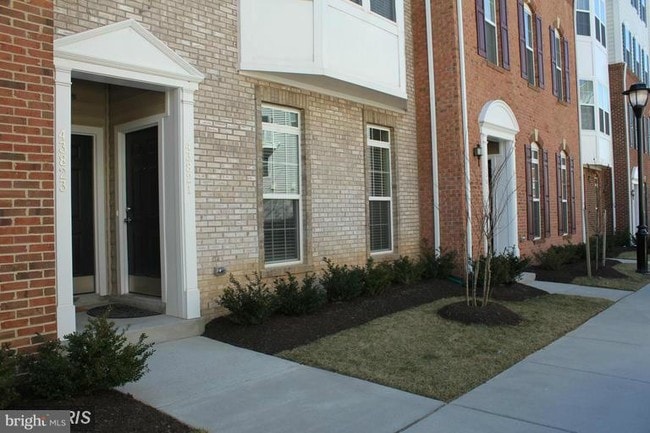 22363 Concord Station Terrace in Ashburn, VA - Building Photo - Building Photo