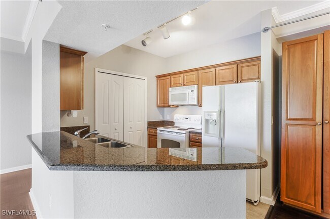 13010 Positano Cir in Naples, FL - Building Photo - Building Photo