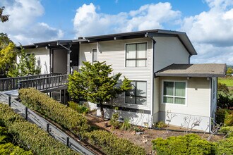 San Leandro Apartments in San Leandro, CA - Building Photo - Building Photo