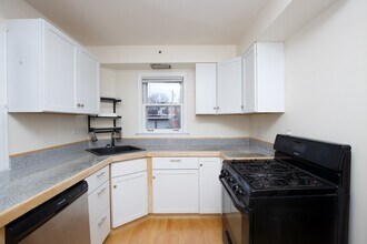 531 N Lombard Ave in Oak Park, IL - Building Photo - Building Photo