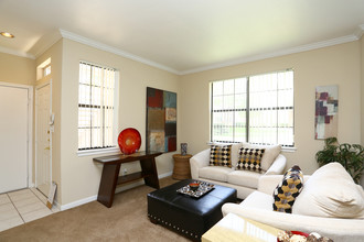 Saddle Brook Apartments in Waco, TX - Building Photo - Interior Photo