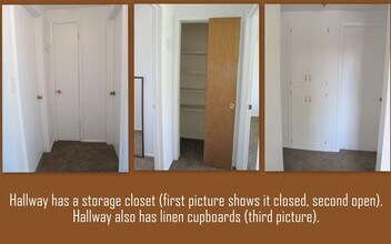 1587 S 800 E in Orem, UT - Building Photo - Building Photo