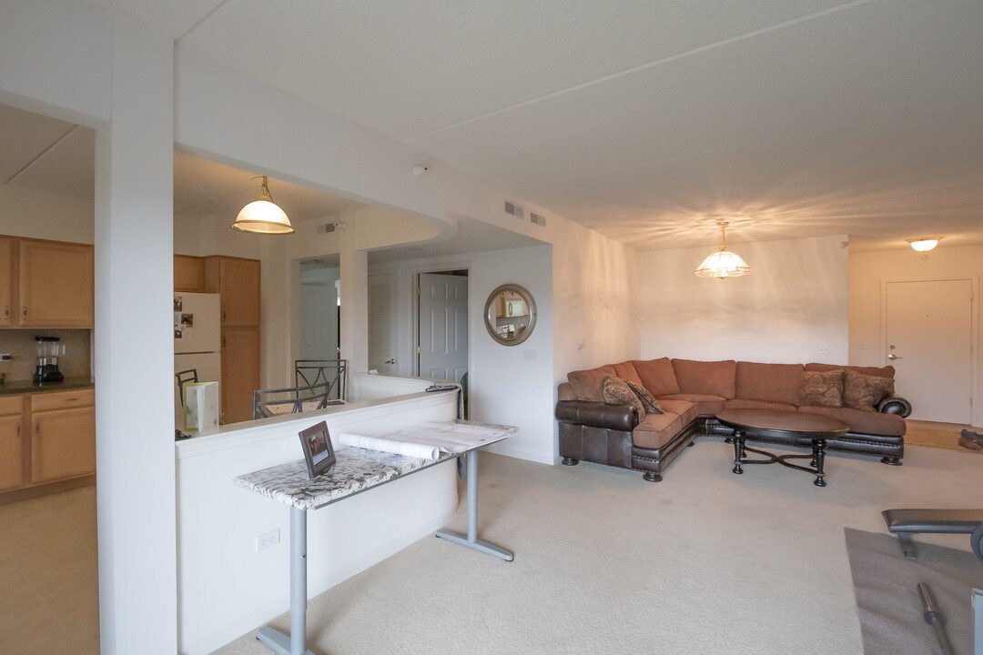 20 S Main St in Mount Prospect, IL - Building Photo