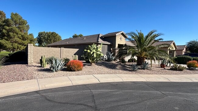 19589 N Portarosa Ct in Maricopa, AZ - Building Photo - Building Photo