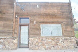 21 N Main St in Alma, CO - Building Photo