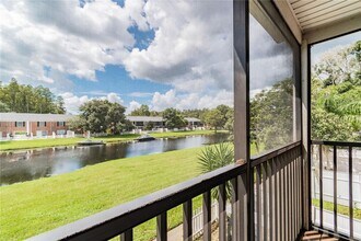 13692 Orange Sunset Dr in Tampa, FL - Building Photo - Building Photo