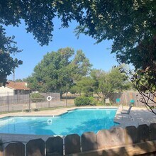 1404 Zephyr Ln in Round Rock, TX - Foto de edificio - Building Photo