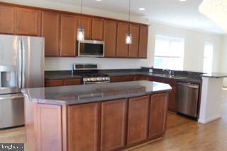 107 Poinsettia Wy in Stephenson, VA - Building Photo - Building Photo