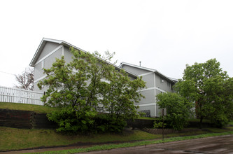 860 10th Ave SE in Minneapolis, MN - Building Photo - Building Photo