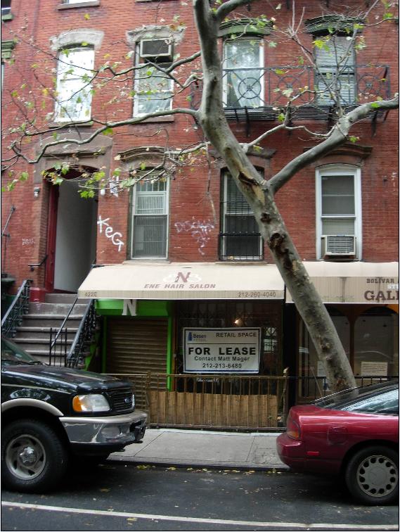422 East 9th St in New York, NY - Building Photo - Building Photo