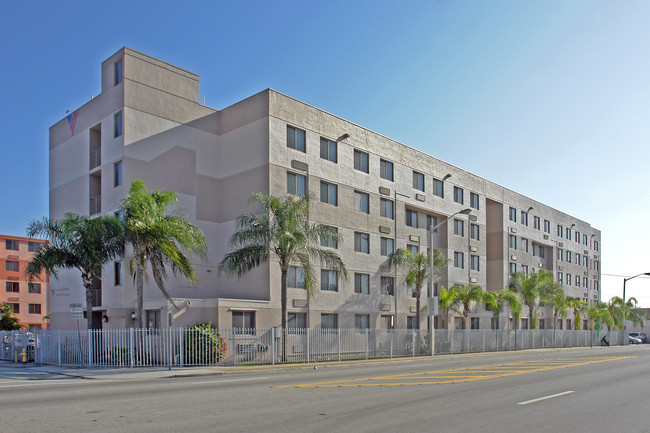 Las Palmas Plaza II in Miami, FL - Building Photo - Building Photo