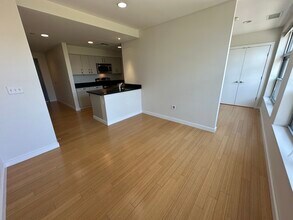 587 Albany St, Unit 1 in Boston, MA - Building Photo - Building Photo