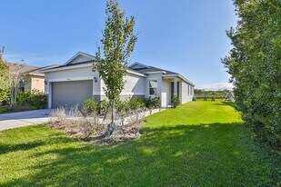 10546 Medford Lakes Dr in Riverview, FL - Building Photo