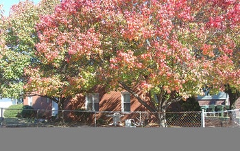 1508 Chela Ave in Norfolk, VA - Foto de edificio - Building Photo