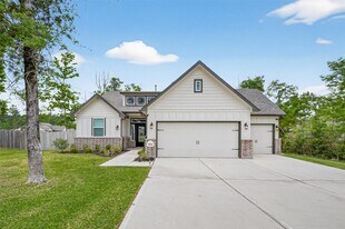 18203 Samie Nell Ct in Willis, TX - Building Photo