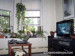 102 Willow St, Unit 2 in Cambridge, MA - Building Photo - Building Photo