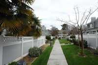 Cabernet Vineyards in San Jose, CA - Foto de edificio - Building Photo