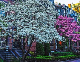 379 Marlborough St in Boston, MA - Building Photo