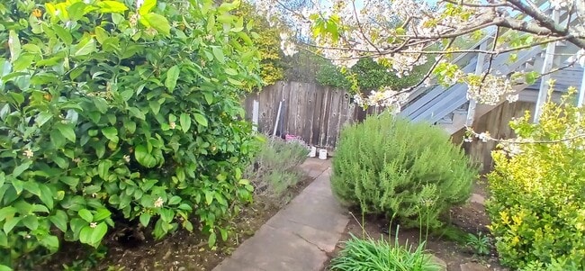 1457 11th Ave, Unit Wine Lovers Garden Retrea in San Francisco, CA - Building Photo - Building Photo