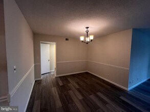 5903 Mt Eagle Dr in Alexandria, VA - Building Photo - Building Photo