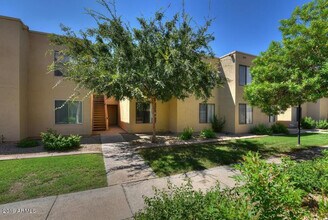 3600 Hayden Rd in Scottsdale, AZ - Foto de edificio - Building Photo