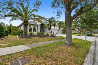 8208 Pinewood Run Ct in Tampa, FL - Building Photo - Building Photo