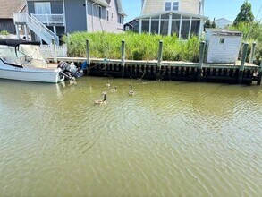 48 New Point Pl in Amityville, NY - Building Photo - Building Photo