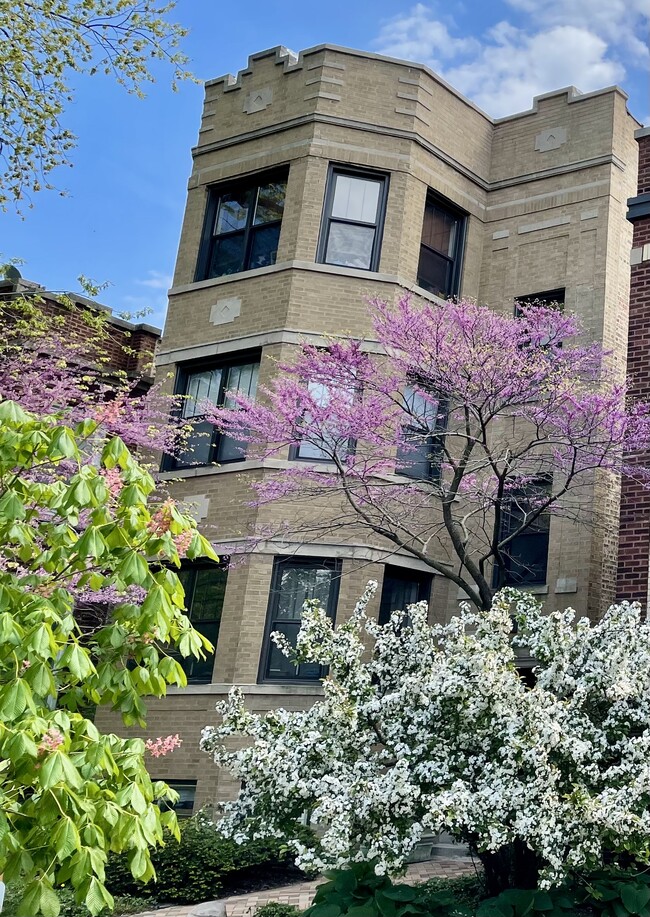732 Mulford St, Unit 2 in Evanston, IL - Building Photo - Building Photo