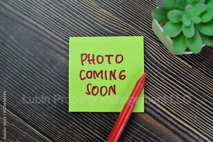 3413 Mountain Terrace St in Memphis, TN - Building Photo